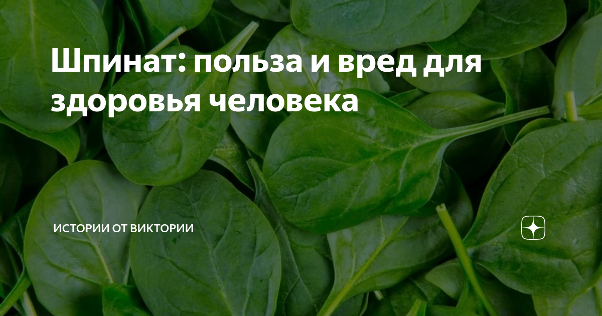 Вред шпината для женщин. Шпинат польза и вред. Шпинат польза. Шпинат вред для человека. Чем полезен шпинат для организма.