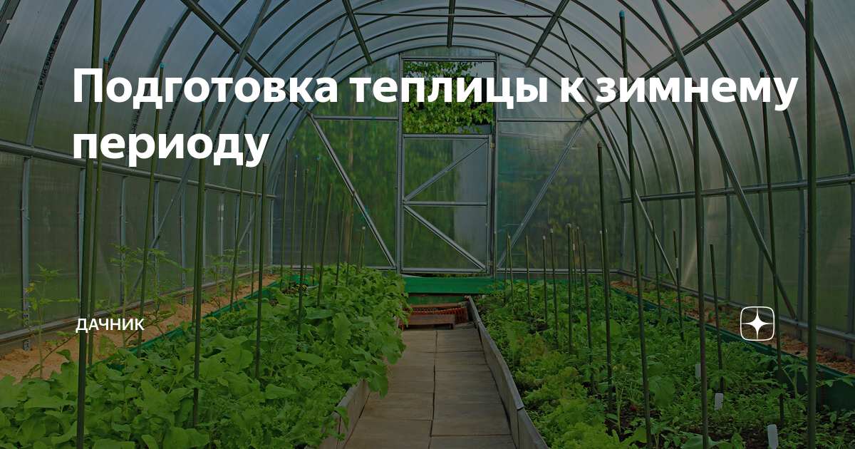 Как подготовить теплицу к зиме осенью