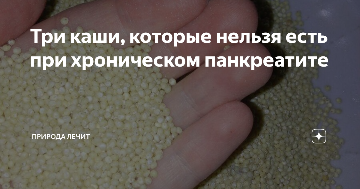 Чем кормить собаку при панкреатите натуралкой - запрещенные продукты, лечебный рацион