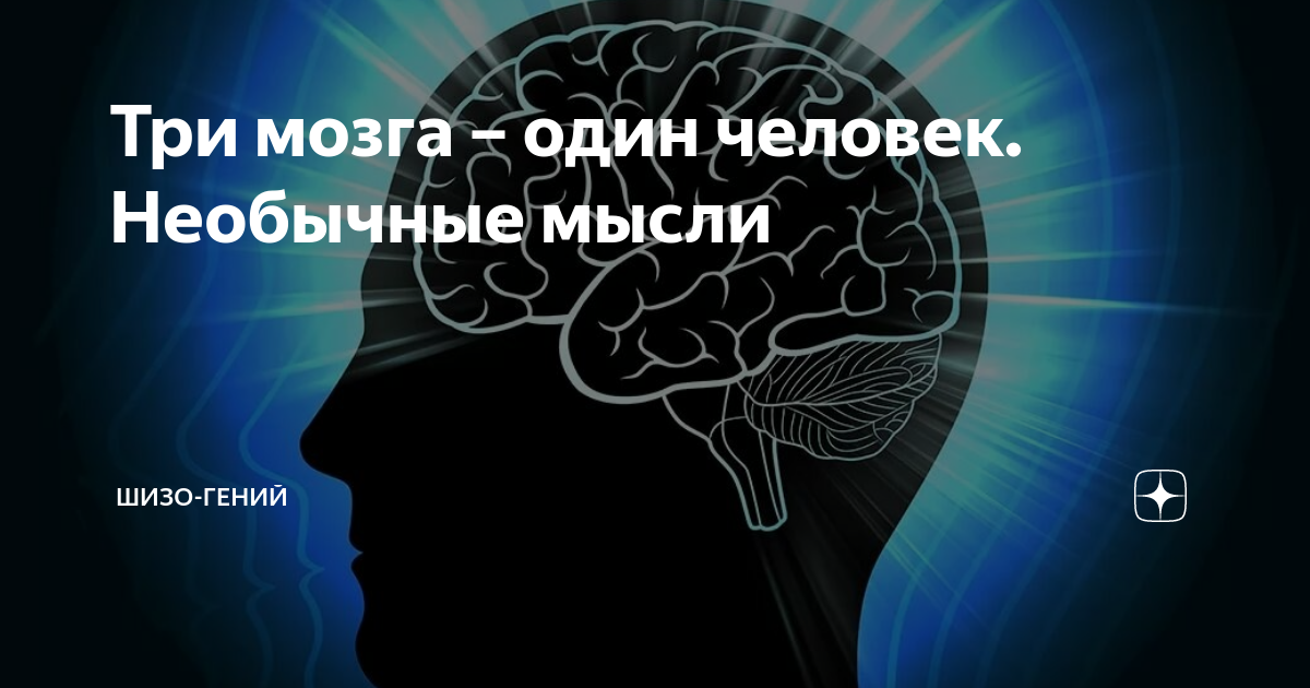 3 Мозга человека. 3 Мозга рептилия лимбический. Три мозга по Маклину. Необычные мысли.