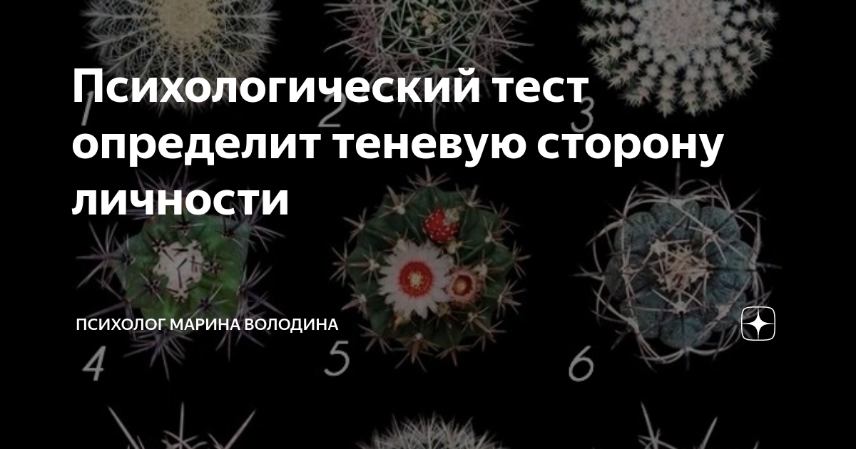 Теневая сторона личности психология. Теневая сторона личности тест. Тест на темную сторону личности. Теневая сторона личности тест Кактус. Тест на определение теневой стороны личности.