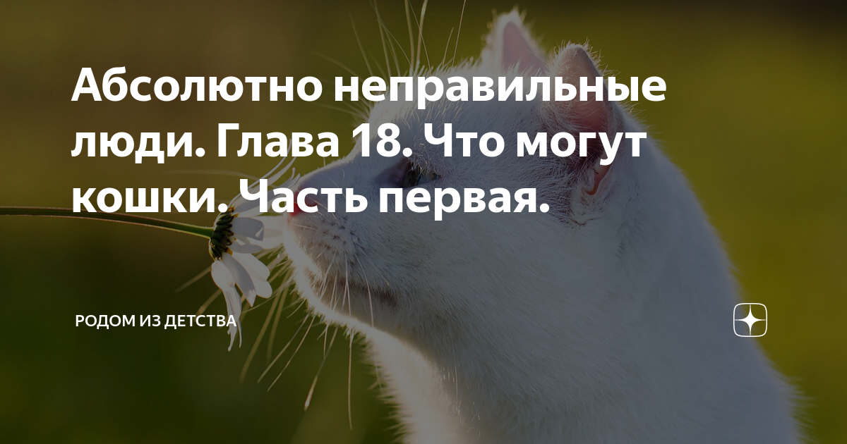 Абсолютно неправильные люди. Глава 18. Что могут кошки. Часть первая ...