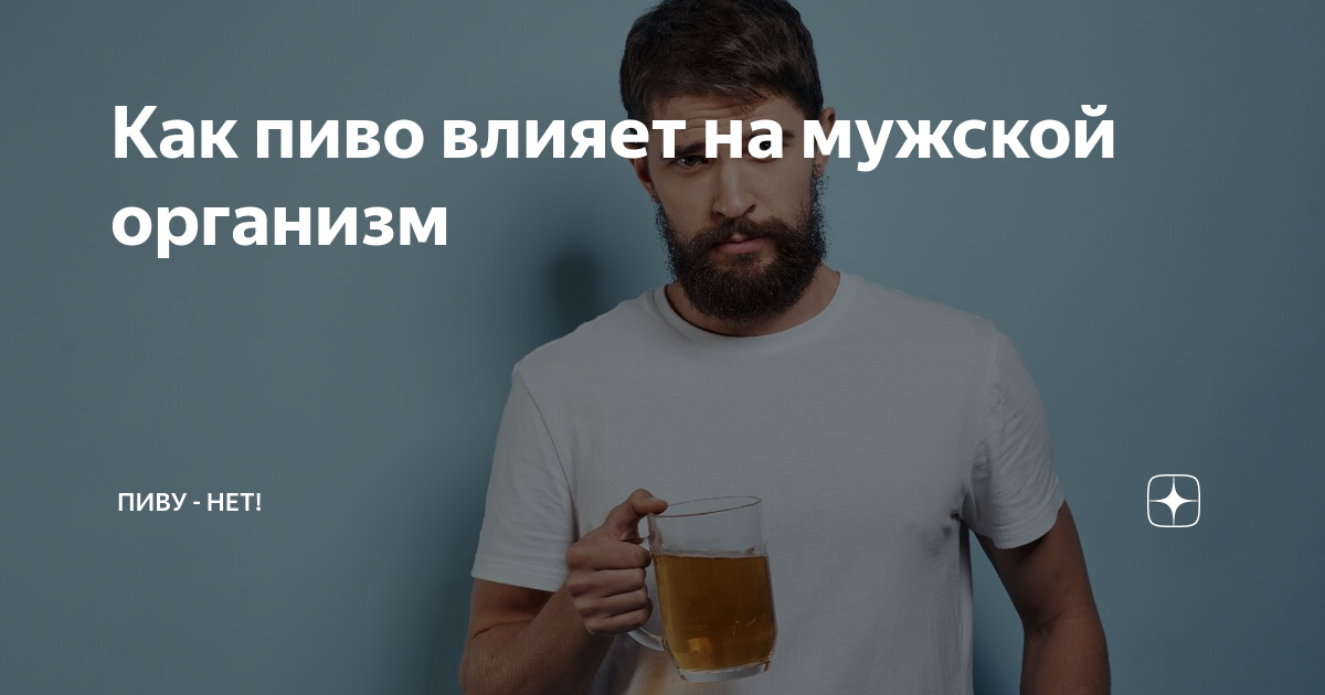 Как пиво влияет на способность к зачатию у мужчины