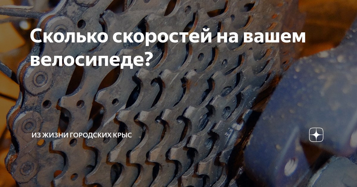 Сколько скоростей на вашем велосипеде? | Исповедь Велосипедиста | Дзен