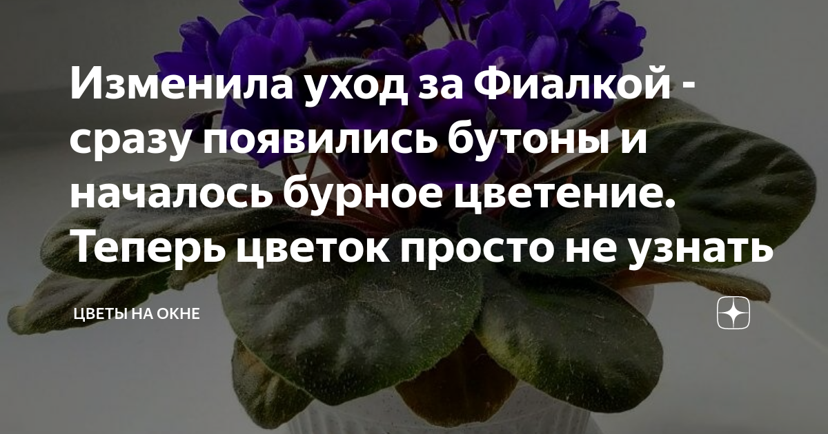 Заботливо ухаживать переделать в управление