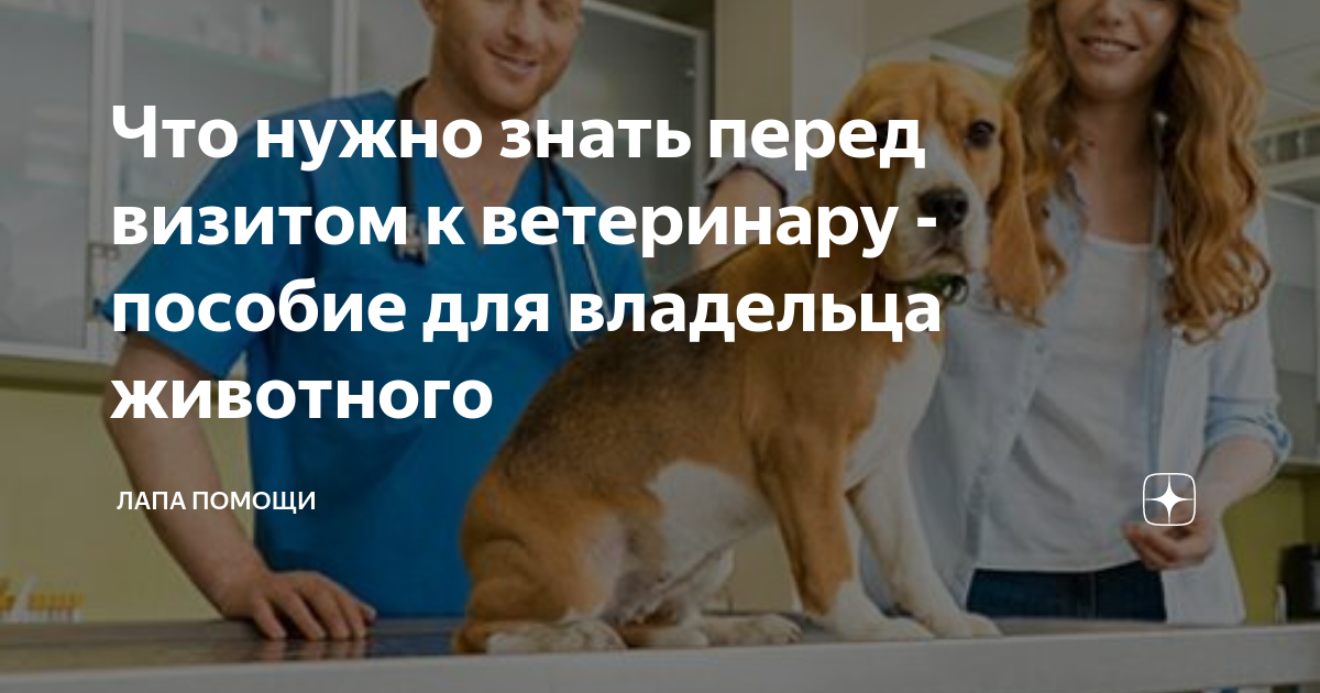 Принадлежности для питомца