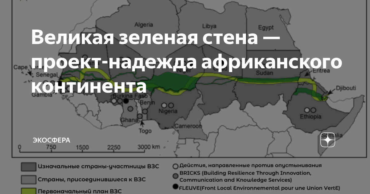 Проект великая зеленая стена