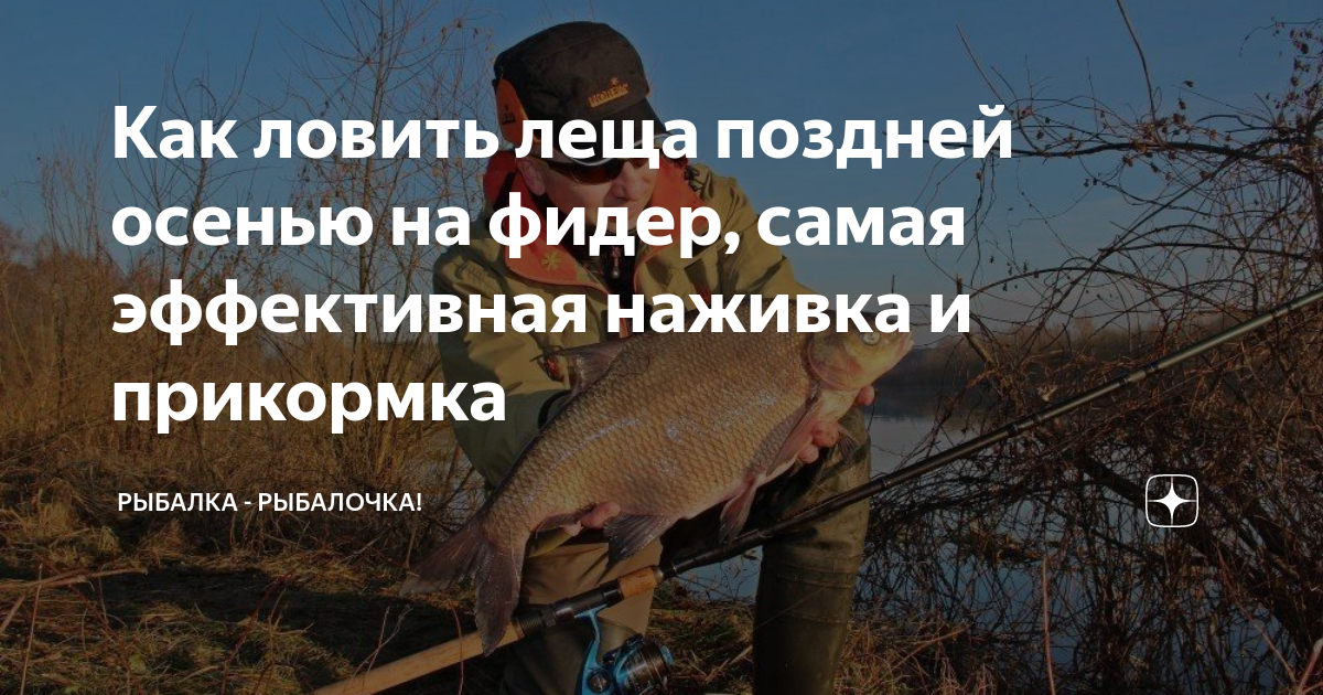 За лещами после листопада - Спортивное рыболовство