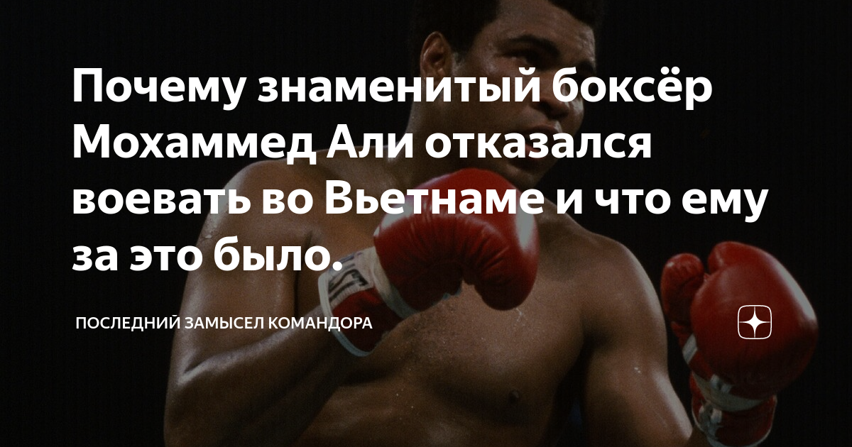 Последний замысел командора дзен читать. Цитаты великих боксеров