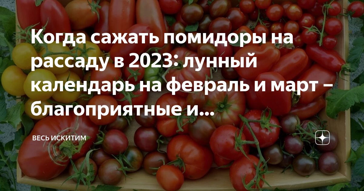 Лунный посевной календарь 2024