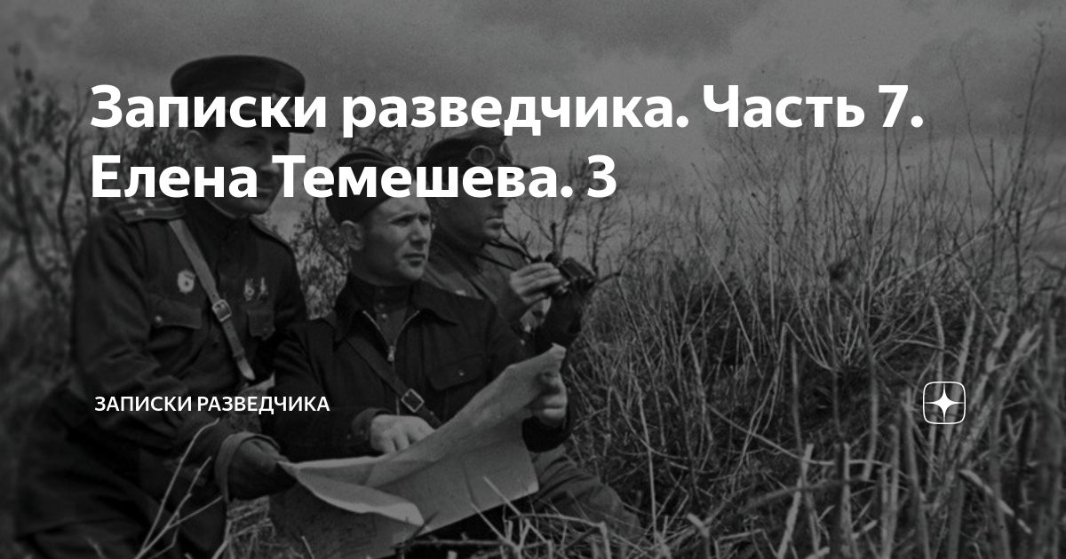 Этот разведчик передал разведанные о том. Пипчук Записки разведчика. Записки старого разведчика. Фразы разведчиков. Заповеди разведчика.