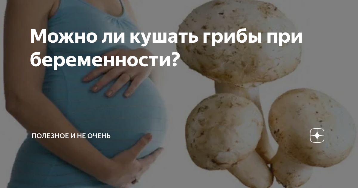 Можно беременной есть грибы