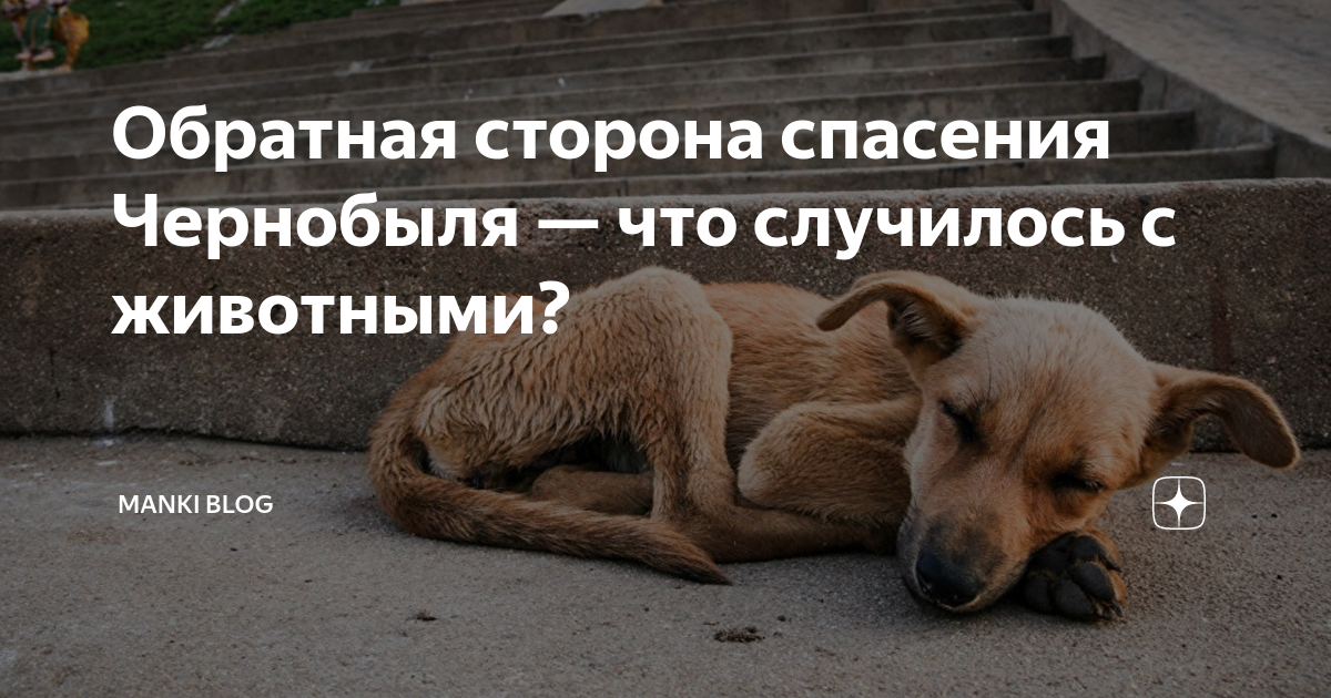 Сторона спасать