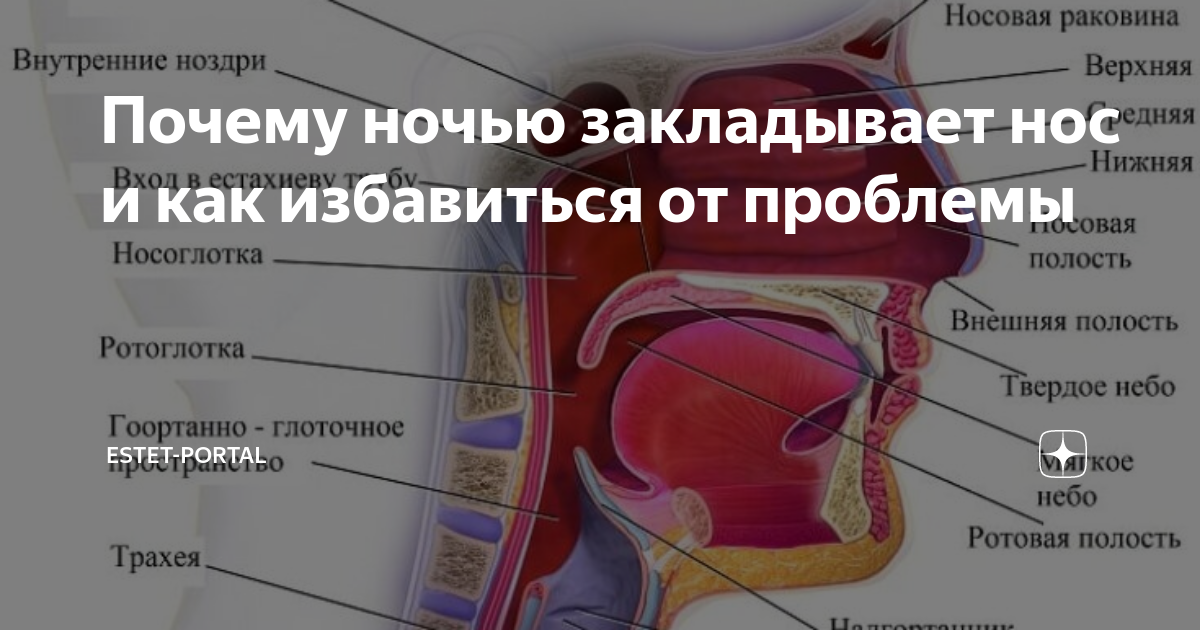 Почему закладывает. Заложенность носа ночью. Ночью закладывает нос причины. Заложенность носа ночью без насморка.