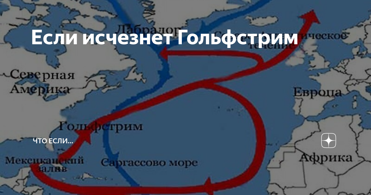 Отметьте три верных варианта ответа гольфстрим