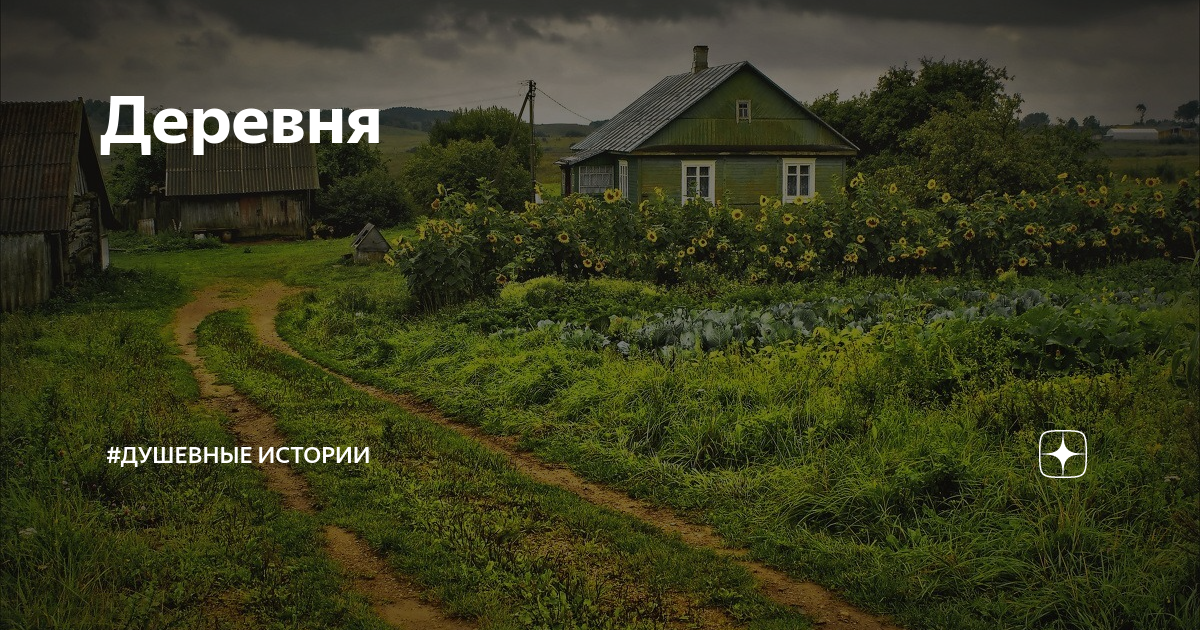 Деревня | #Душевные истории | Дзен