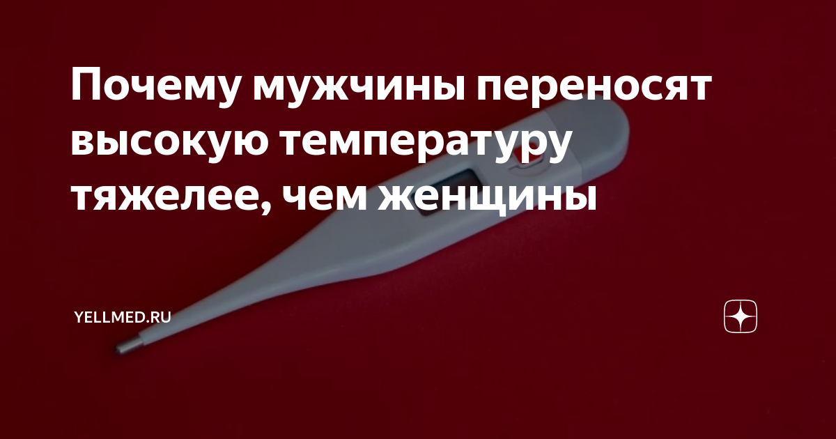 Температура у мужчин и женщин. Почему мужчины хуже переносят температуру. Как мужчины переносят температуру. Почему мужчины переносят температуру хуже женщин. Почему мужчины тяжелее переносят температуру.