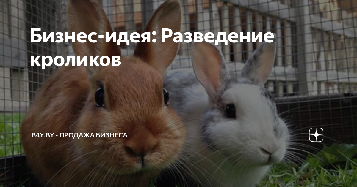 Клетки для кроликов своими руками: все размеры и чертежи, фото, видео