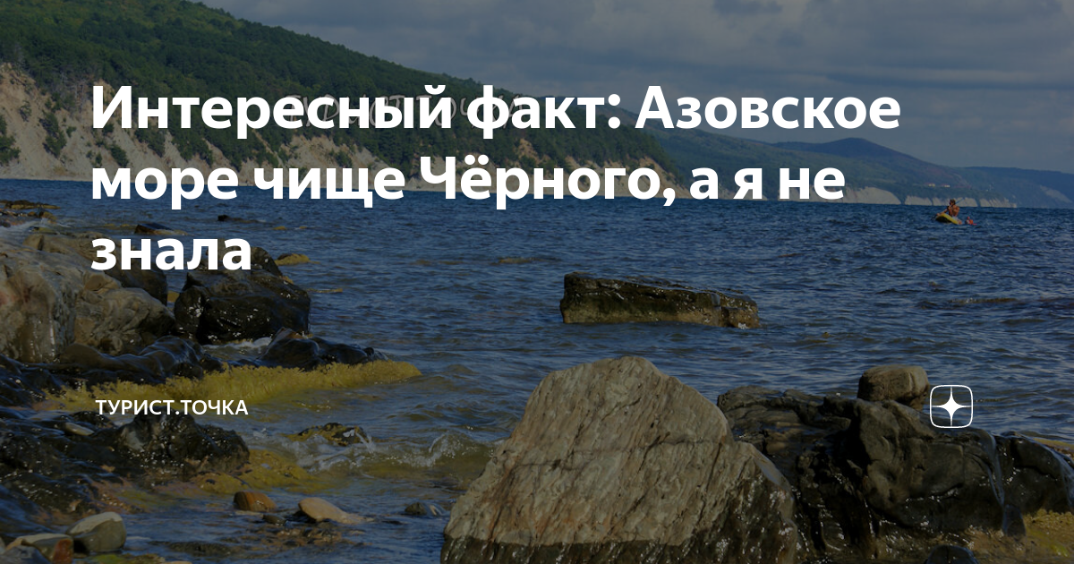 Выберите верный факт об азовском море. Азовское море интересные факты. Интересные факты о Сибири. Факты о Азовском море. 10 Фактов о Азовском море.