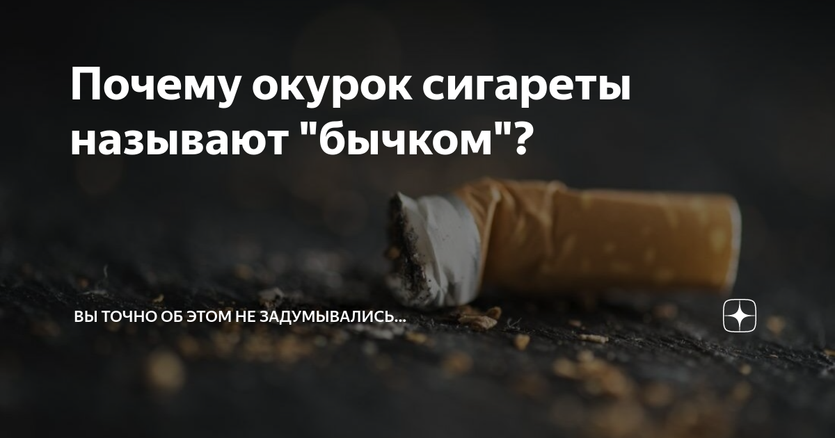 Почему бычки называют бычками