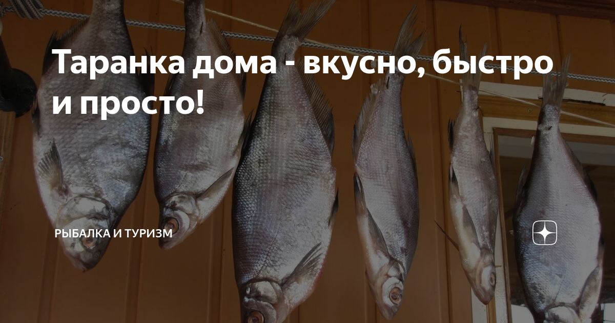 Как вкусно засолить рыбу в домашних условиях? Нашли рецепты для красной и речной - kinza-moscow.ru