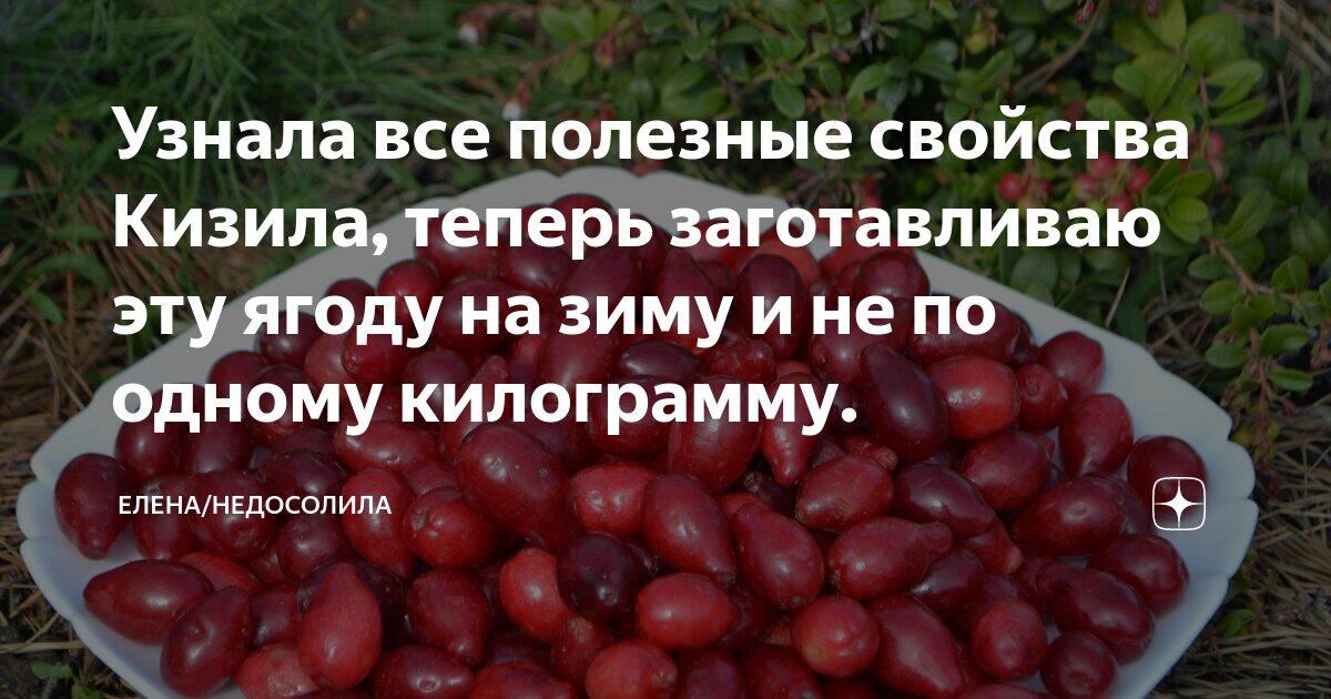 Можно ли кизил беременным. Для чего полезен кизил. Кизил полезные свойства. Чем полезен кизил для организма человека. Кизил витамины.