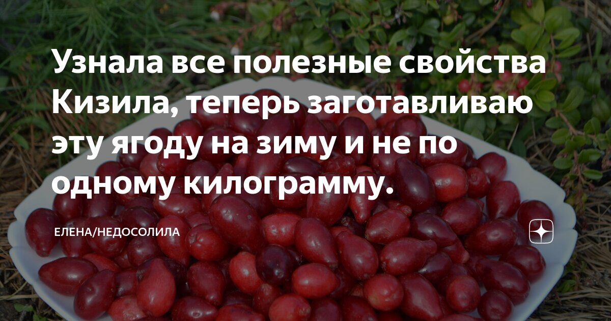 Ягода кизил польза и вред фото и описание