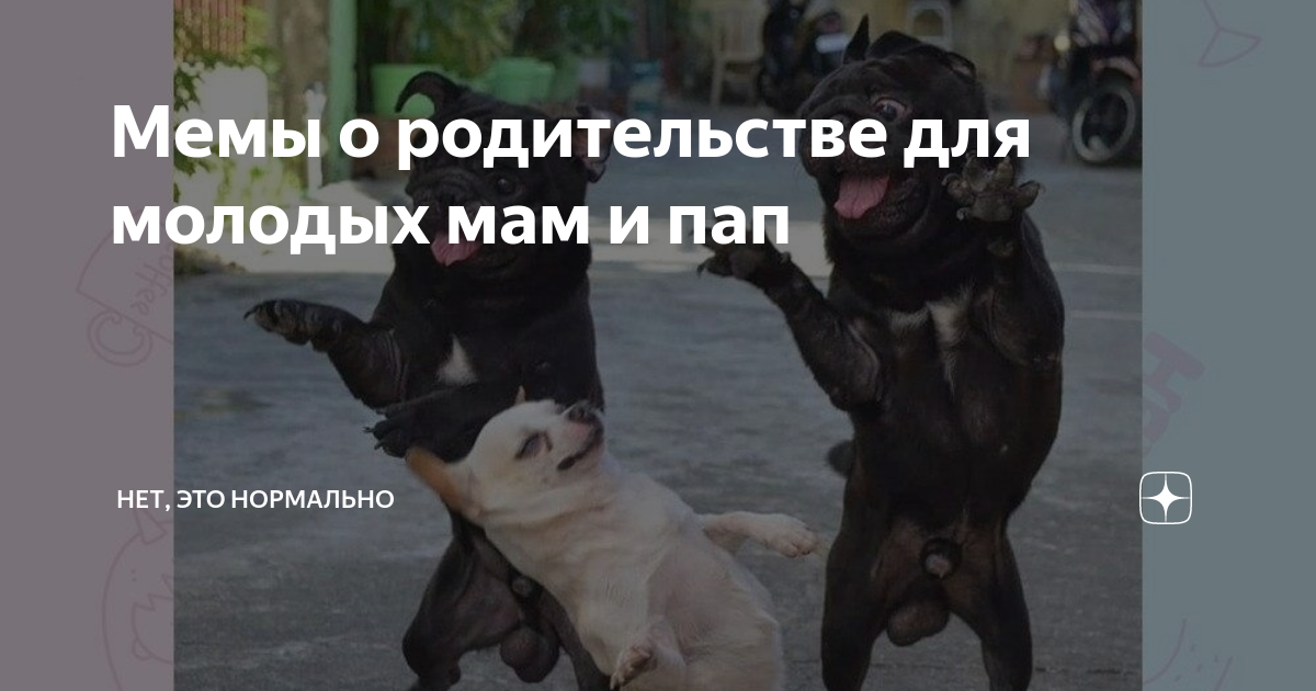 Мемы о родительстве для молодых мам и пап | НЭН – Нет, это нормально | Дзен