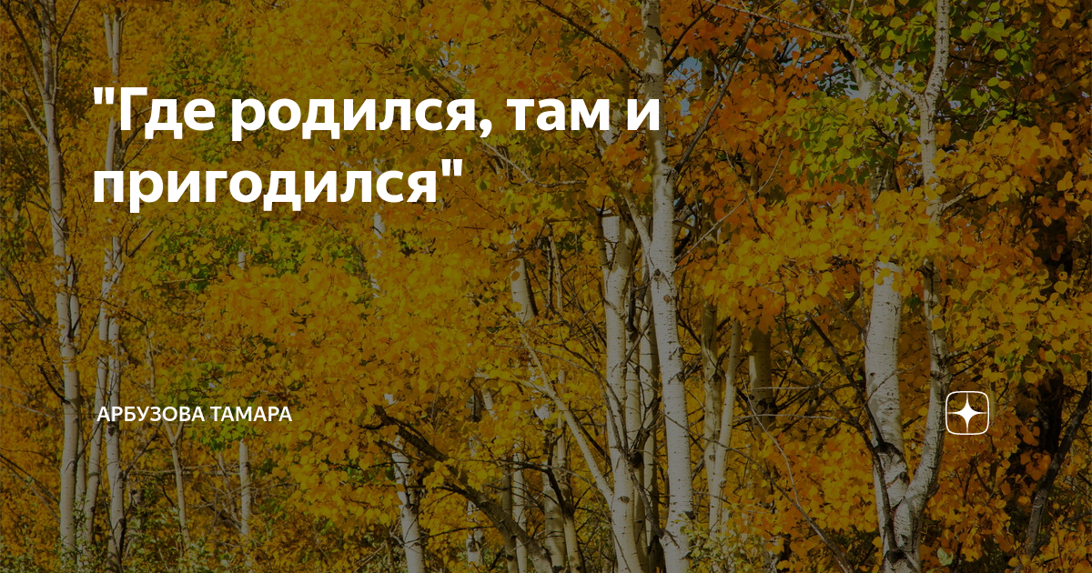 Минус песни где родился там и пригодился. Где родился там и пригодился футболка. Где родился там и пригодился рисунок. Пословицы на тему где родился там и пригодился. Эссе на тему где родился там и пригодился.