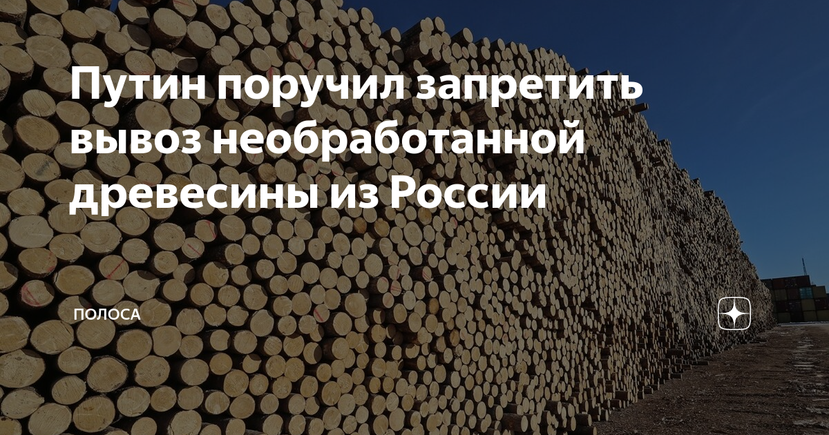 Запрет на экспорт. Запрет на экспорт необработанной древесины из России. Запрет на вывоз необработанной древесины с 2022. Экспорт необработанной древесины в мире. Экспорт необработанной древесины из России.