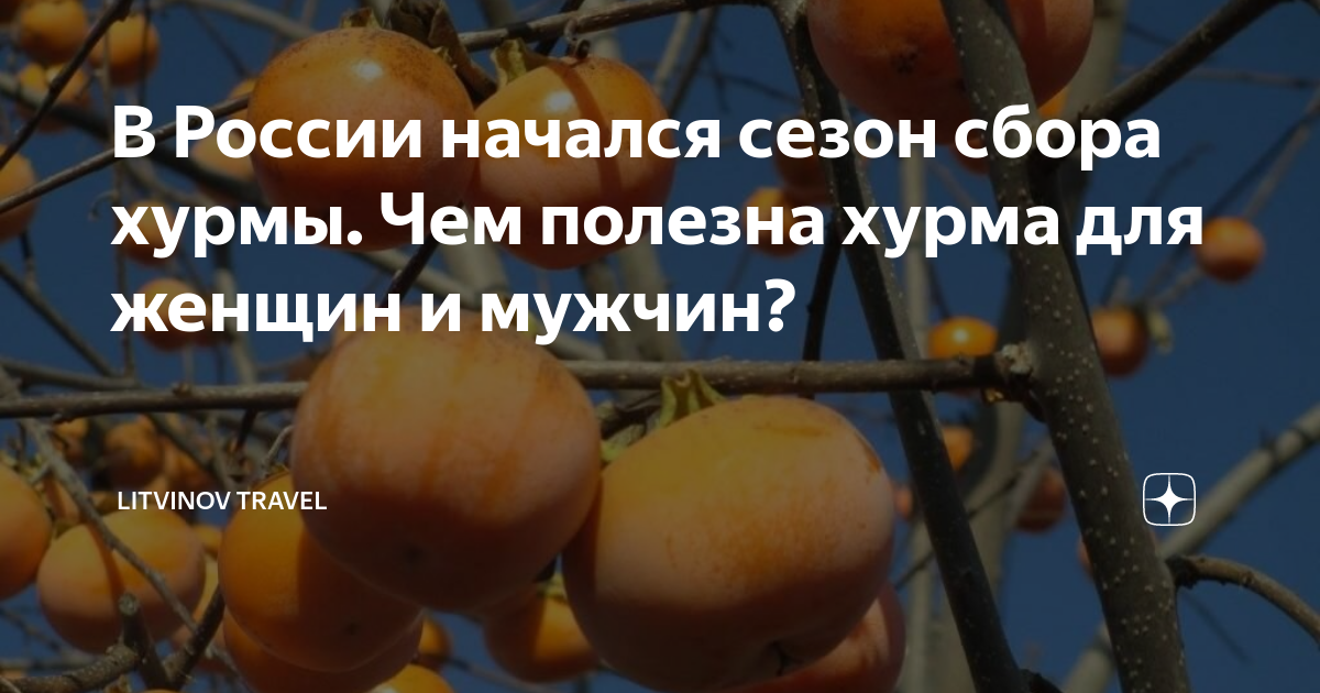 Витамины в хурме. Полезные витамины в хурме. Чем полезна хурма. Хурма для мужчин. Чем полезна хурма.