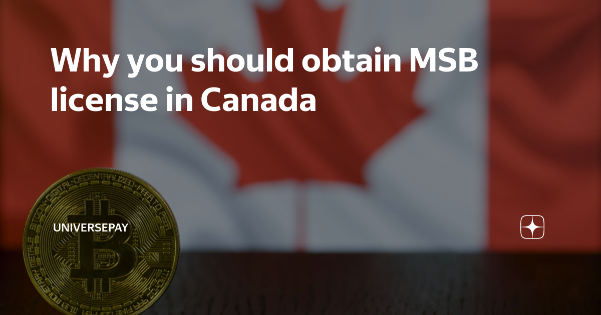 Why you should obtain MSB license in Canada UniversePay Дзен