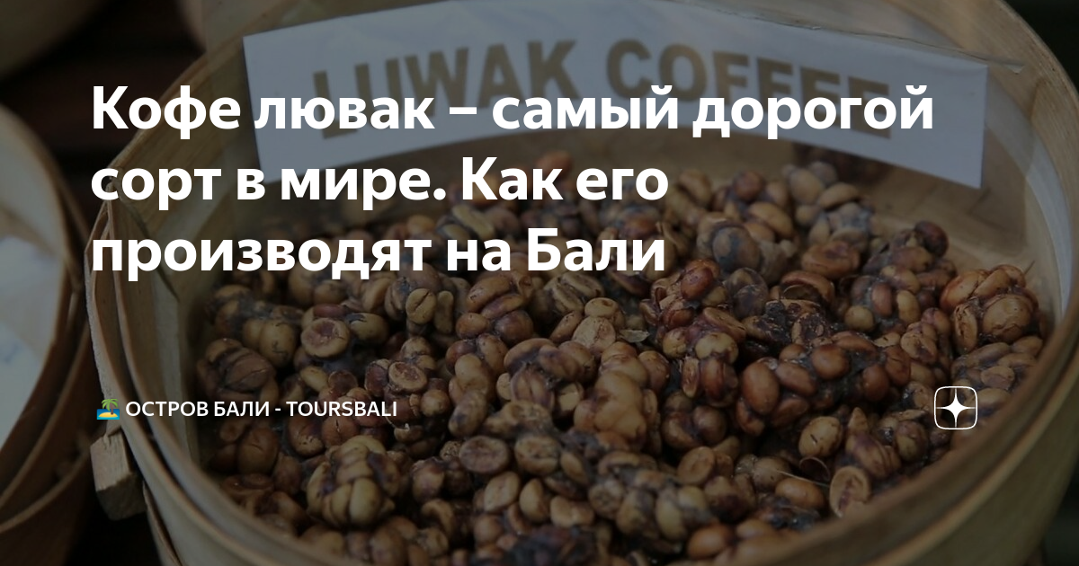 Кофе лювак – самый дорогой сорт в мире. Как его производят на Бали | 🏝️ ...