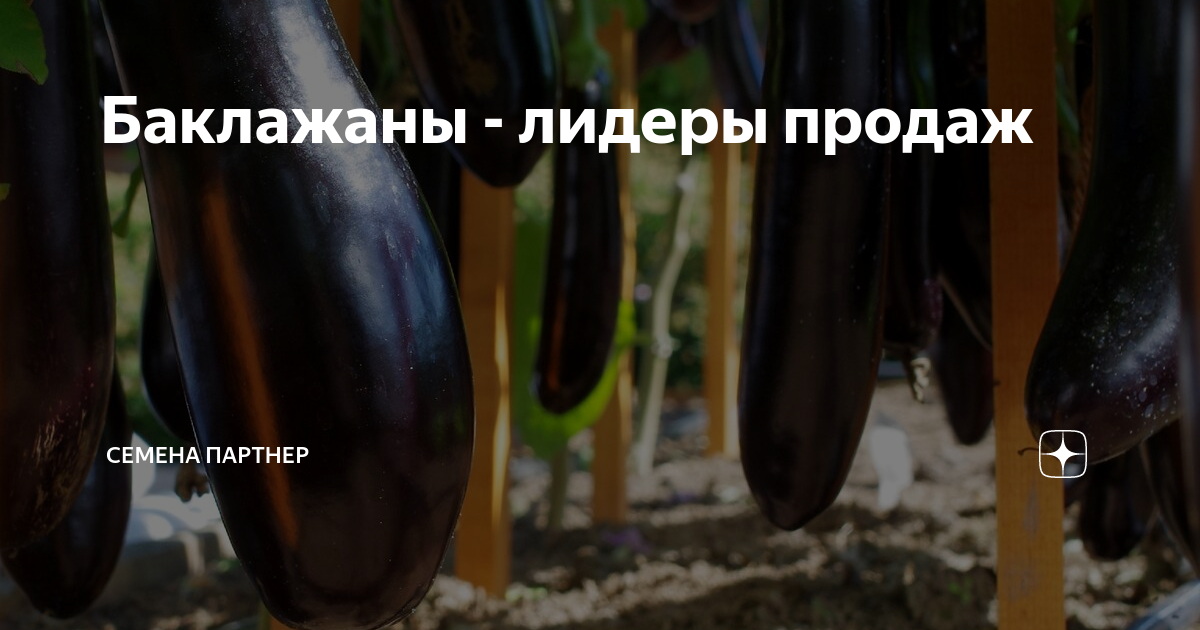 Баклажаны - лидеры продаж | Семена Партнер | Дзен