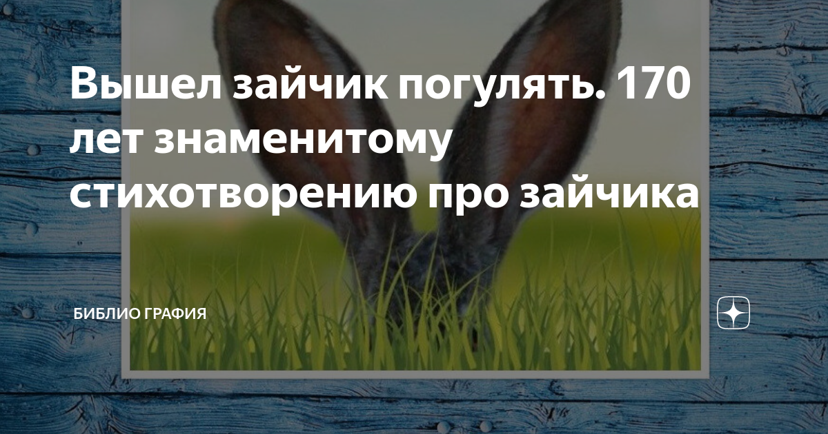 Вышел зайка в поле погулять свеженькой капустки пощипать. Выйду в поле погулять. Девушка бежит в поле. Девушка в поле. Девушка на коне в поле.