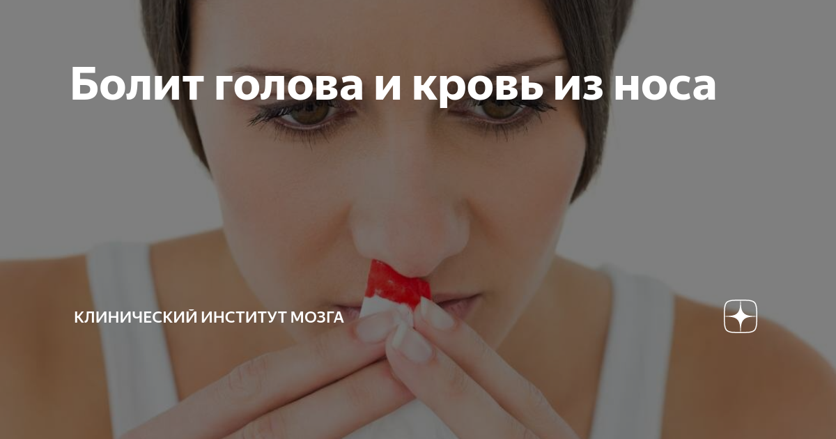 болит и кружится голова кровь из носа