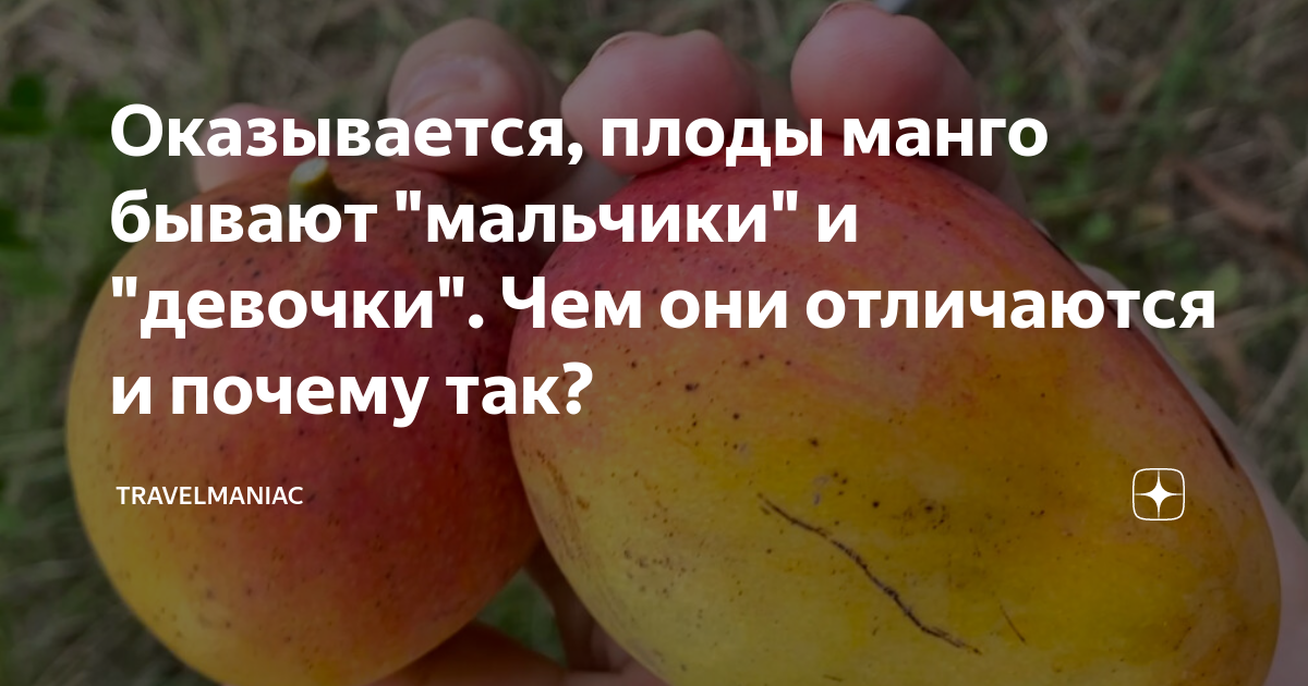 Чем отличается девочка от мальчика картинки