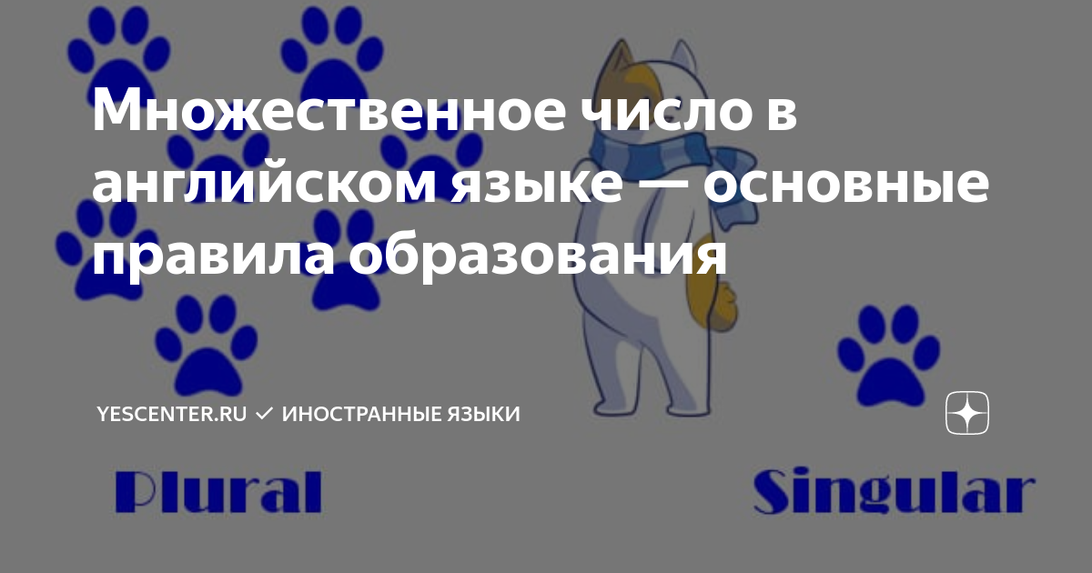 Правило образования английском множественного числа. Правило образования английском множественного числа