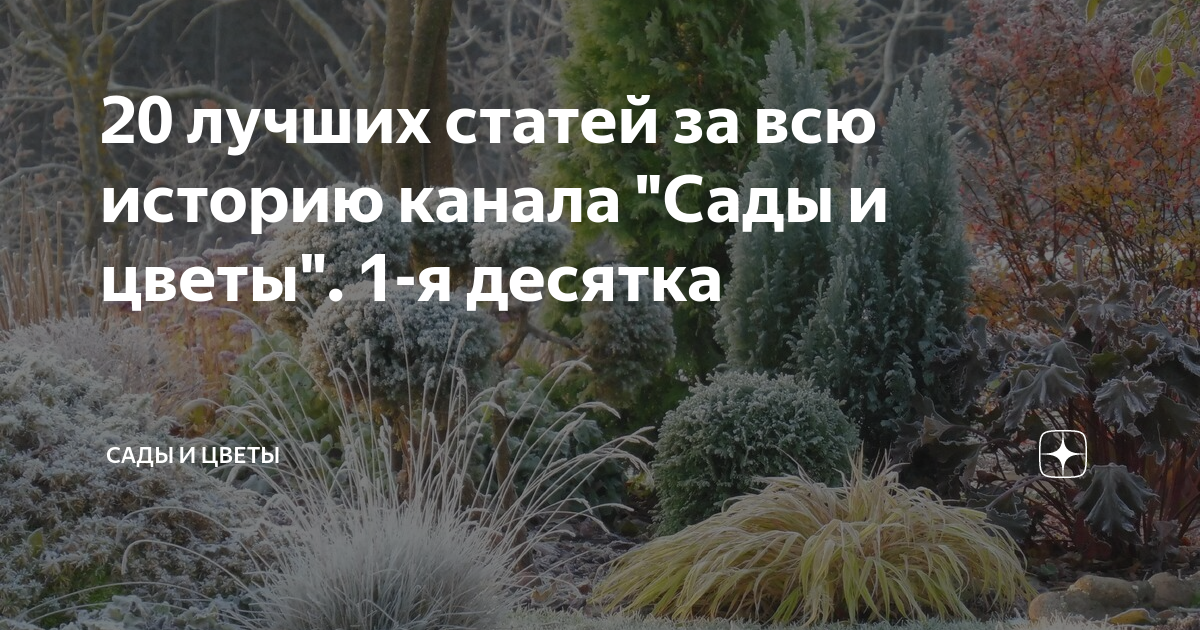 20 лучших статей за всю историю канала "Сады и цветы". 1-я десятка ...