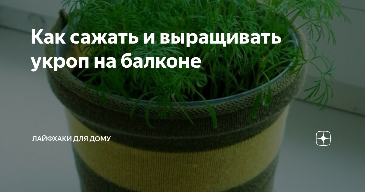Уход за растением