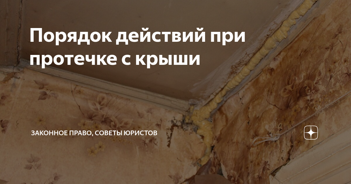 Порядок действий при протечке с крыши | Законное Право, советы юристов ...