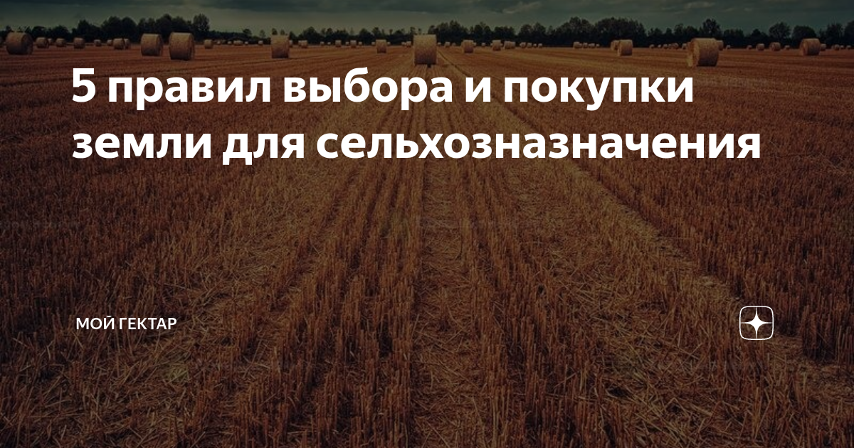 Мой гектар ру. Мой гектар. Мой гектар в Подмосковье. Гектар в Московской области. Программа мой гектар.