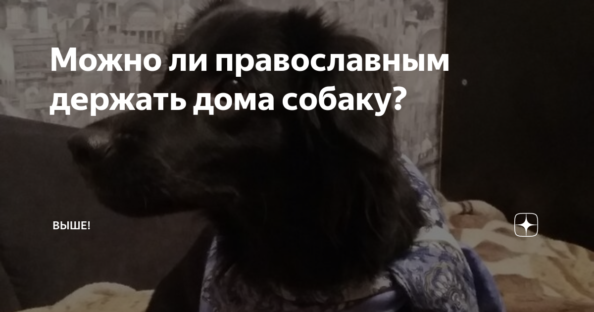 Почему православным нельзя держать собаку в доме?