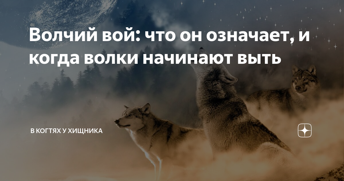 К чему снятся воющие волки