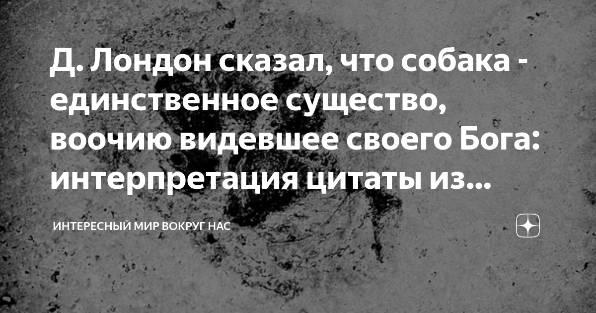 Собака это единственное существо на свете. Собака единственное существо. Бог - единственное существо. Люди единственные существа на земле которые нуждаются в Боге.