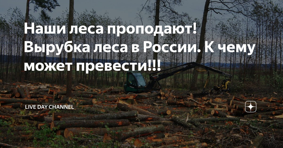 Причины вырубки лесов. Почему вырубают леса в Москве и Подмосковье. Основные причины вырубки лесов картинки в стиле Минимализм.