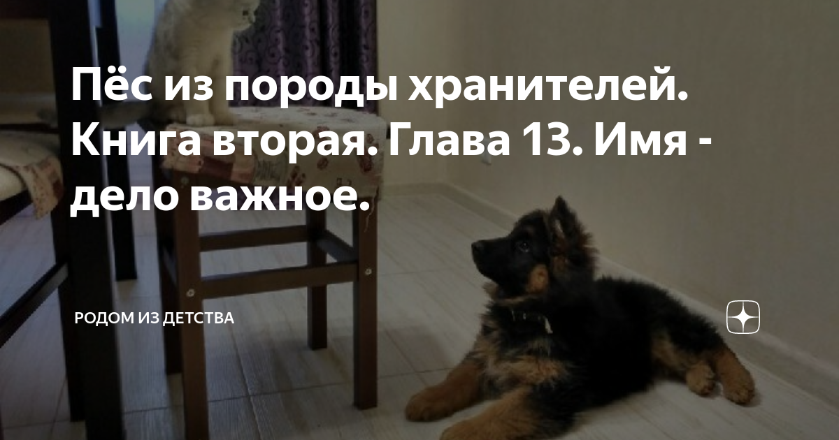Пёс из породы хранителей. Книга вторая. Глава 13. Имя - дело важное ...