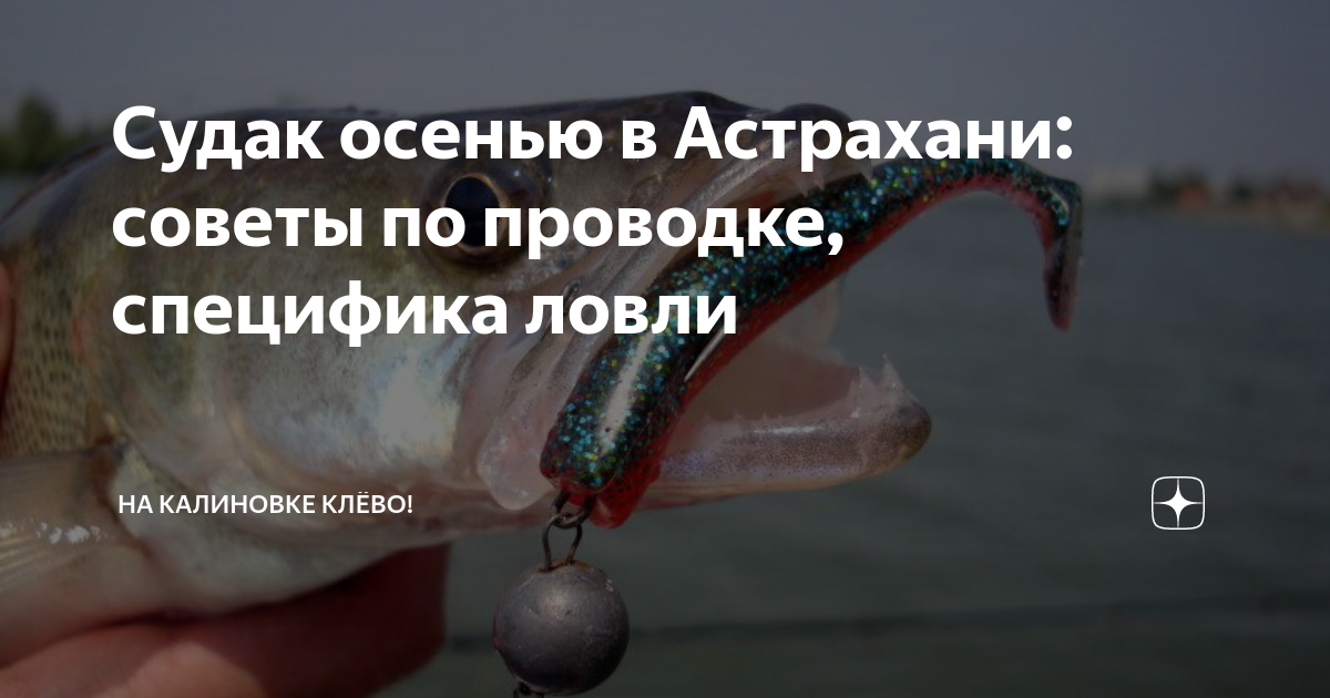 Ловля судака в Астрахани: секреты, особенности и техники ловли