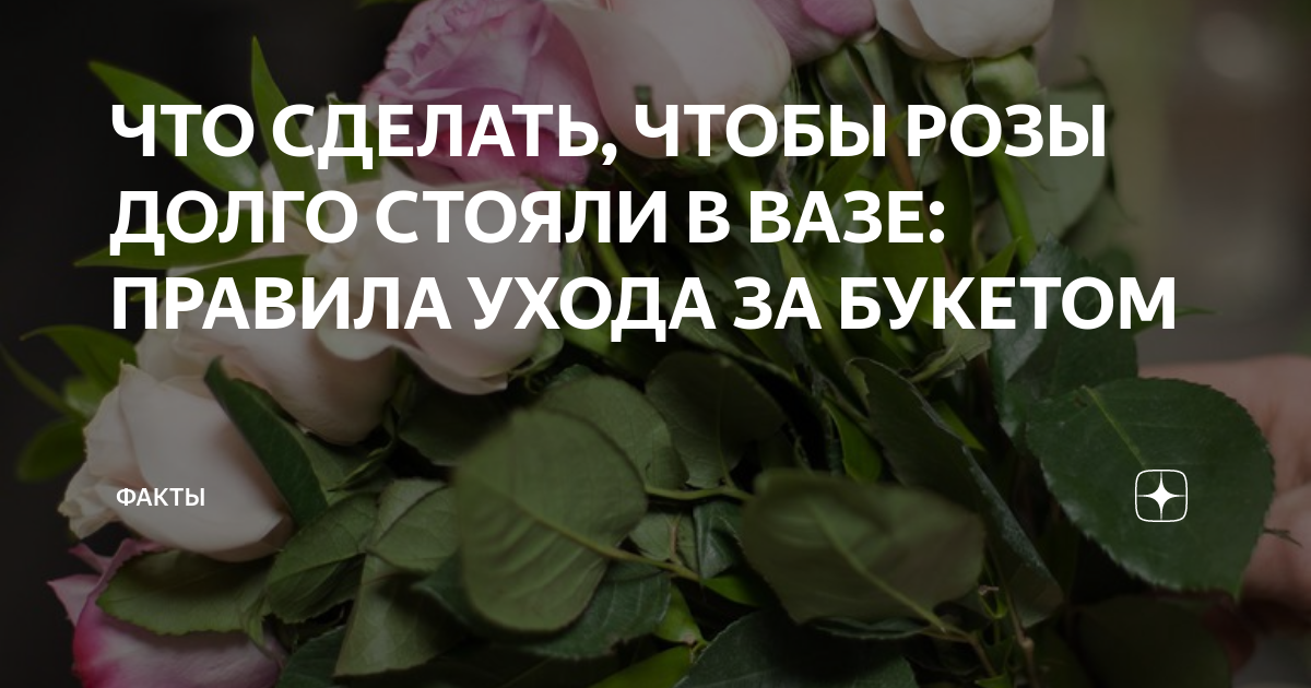 Как сделать так чтобы розы долго стояли. Чтобы розы дольше стояли. Чтобы букет стоял дольше. Что добавить в розы чтобы дольше стояли. Букет из роз долго стоял.