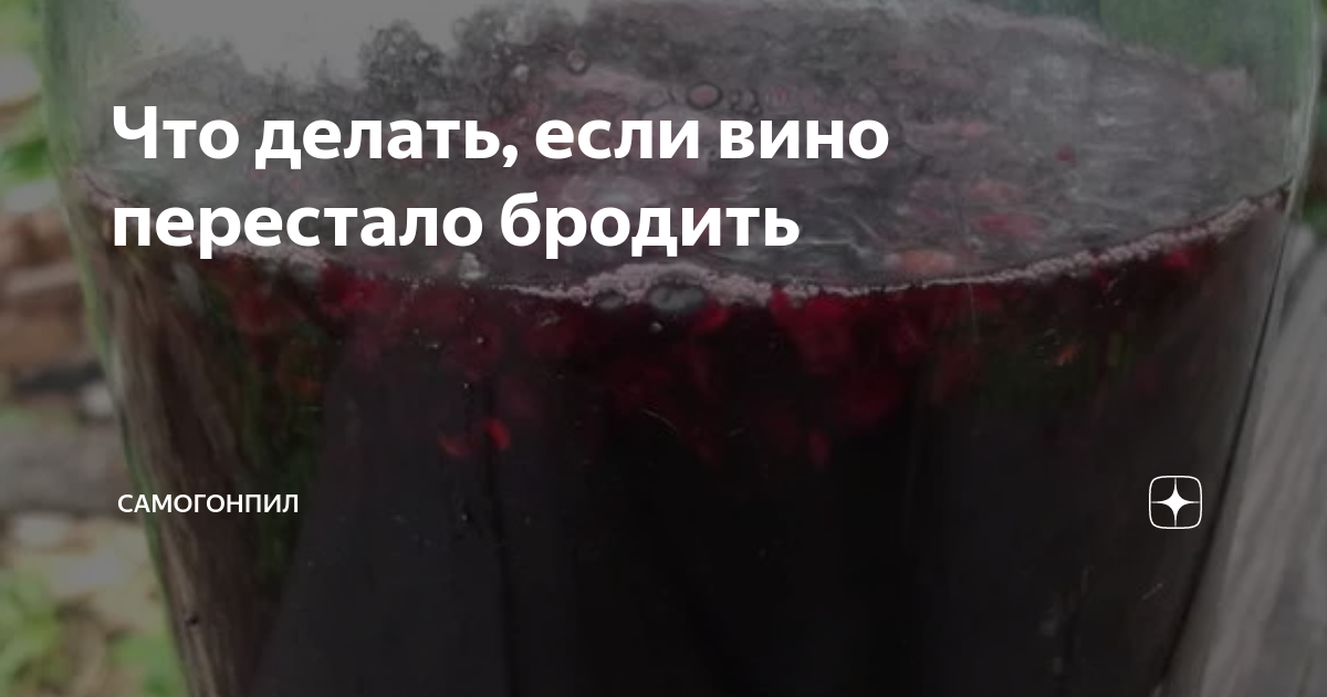 Что делать если вино перестало бродить